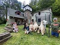 Silvestr na chatě Krkonoše