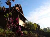 Silvestr na chatě Východní Čechy