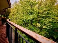 Silvestr v penzionu Krkonoše