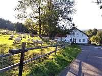 Silvestr v penzionu Šumava