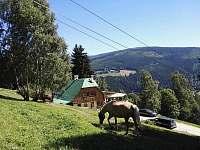 Silvestr v penzionu Krkonoše