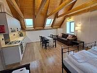 Silvestr v penzionu Vysočina